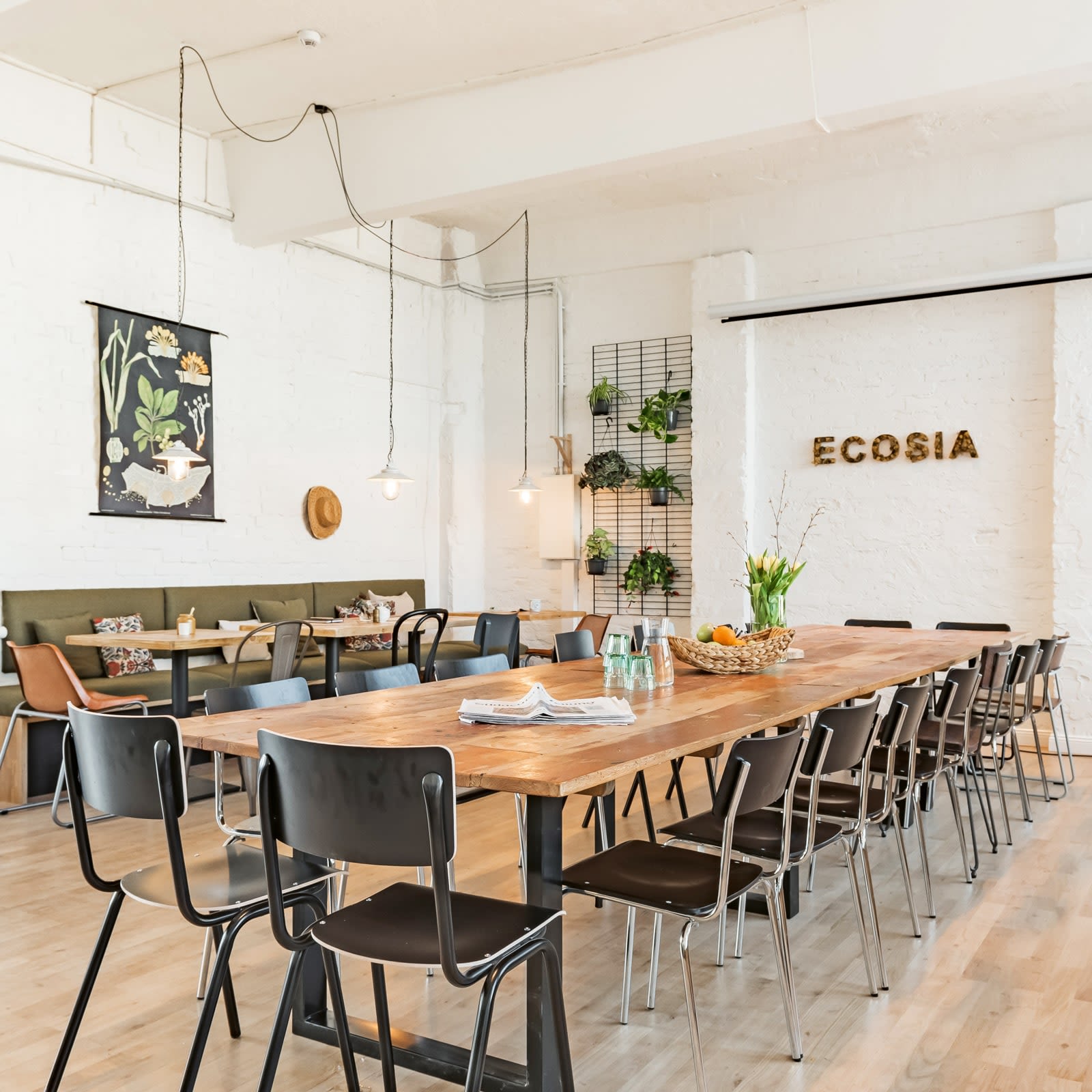 Inside the Ecosia office