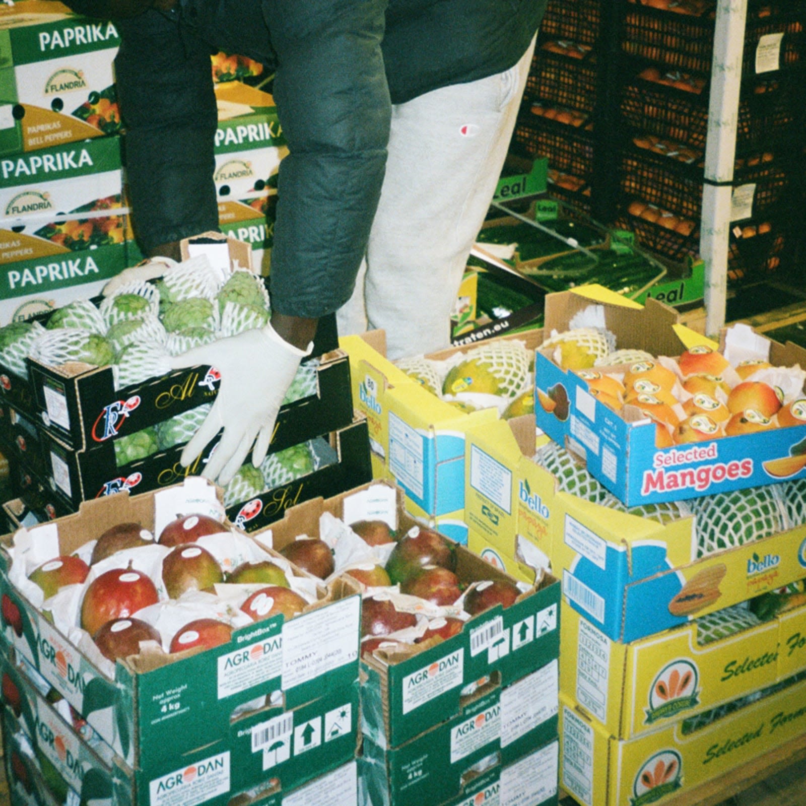 The rise of Trap Fruits London