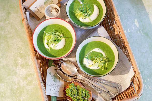 Erbsen-Kopfsalat-Suppe mit Erbsen-Crostini