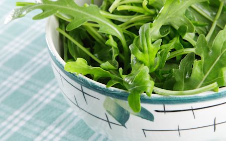 Rucola