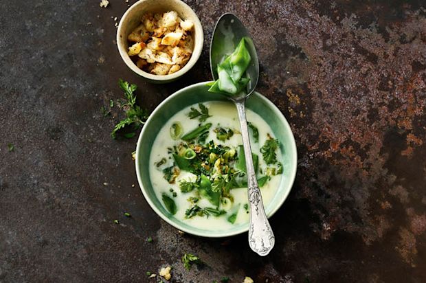 Kefensuppe mit Lattich und Kräutern