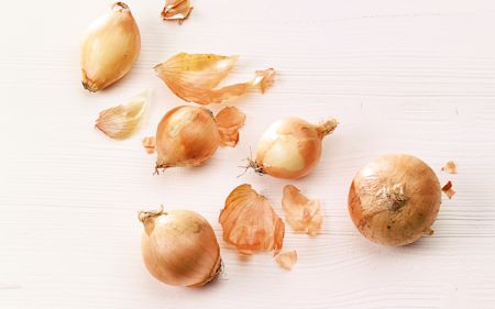 Zwiebel