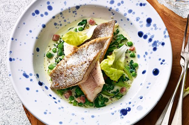 Forellenfilet mit Kopfsalat-Speck-Gemüse