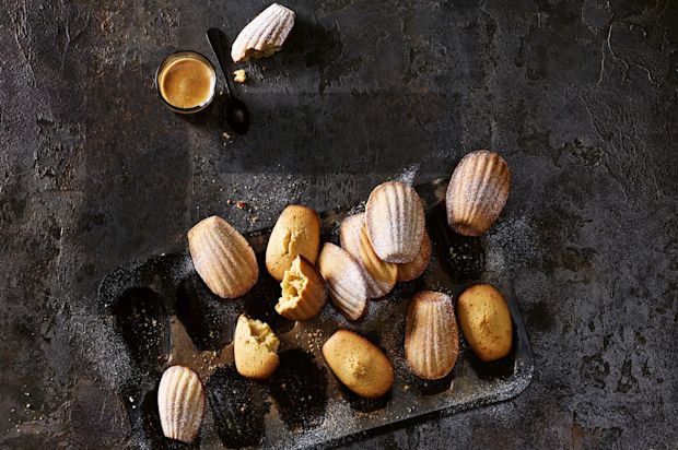 Madeleines