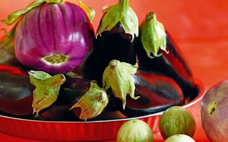 Aubergine