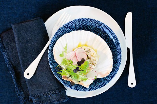 Ceviche vom Meerwolf
