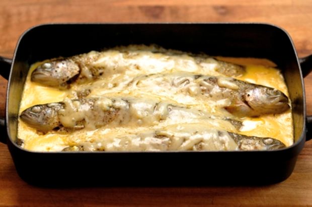 Truites gratinées au fromage - Überbackene Forellen mit Käse und Rahm