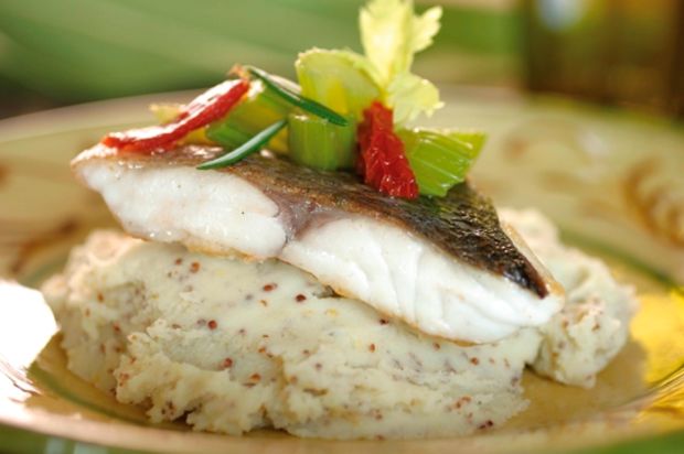 Dorade mit Stangensellerie und Senf-Kartoffelstock