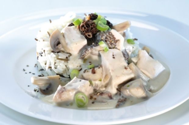 «Weisses» Pouletragout mit Pilzen