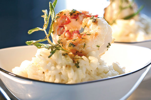 Scampi-Risotto mit Sellerie