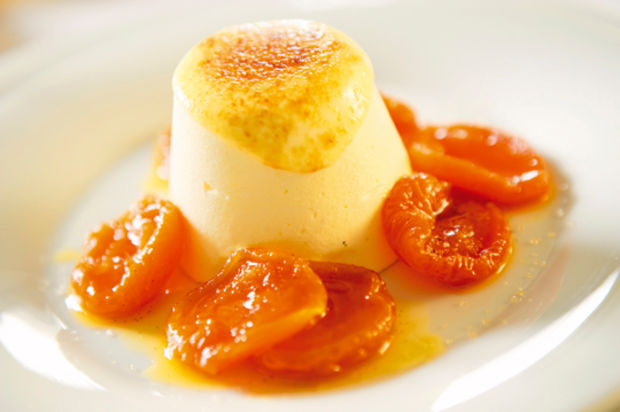 Limettenparfait mit Dörraprikosenkompott