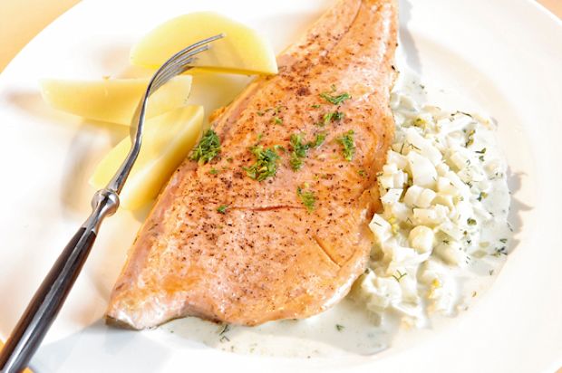 Saiblingfilets an Fenchel-Mascarpone-Sauce