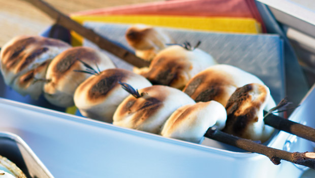 schlangenbrot annemarie wildeisens kochen