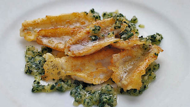 waadtlander eglifilets annemarie wildeisens kochen