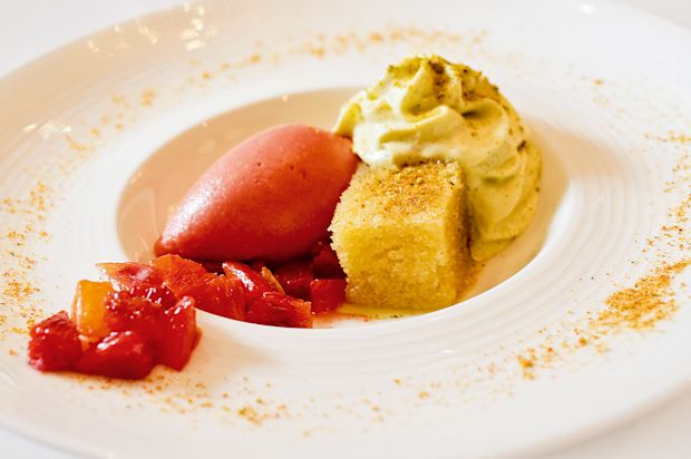 Pistazienschaum mit Blutorangen-Sorbet und Olivenöl-Biskuit