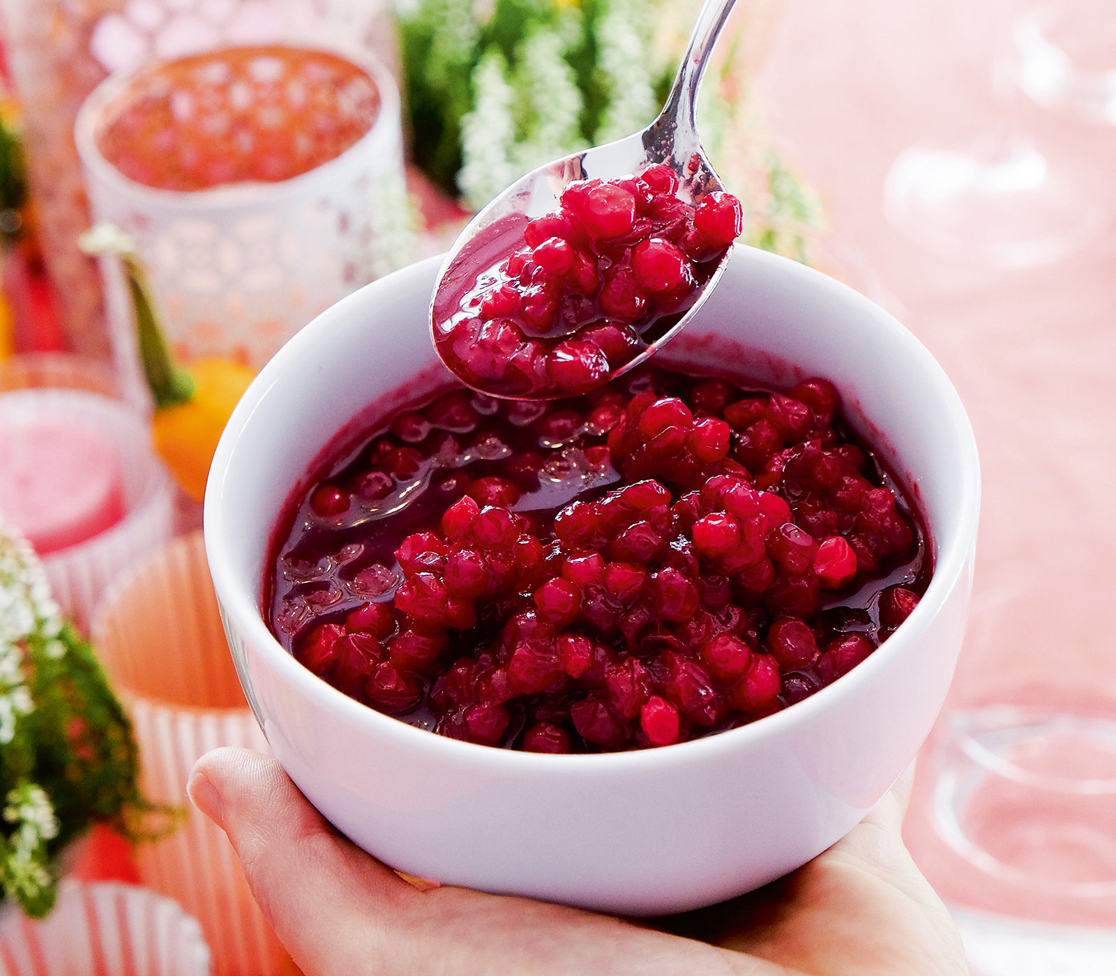 Gelegenheit Küche Zersetzen cranberries kochen rezept Gehirn Nieder Sockel