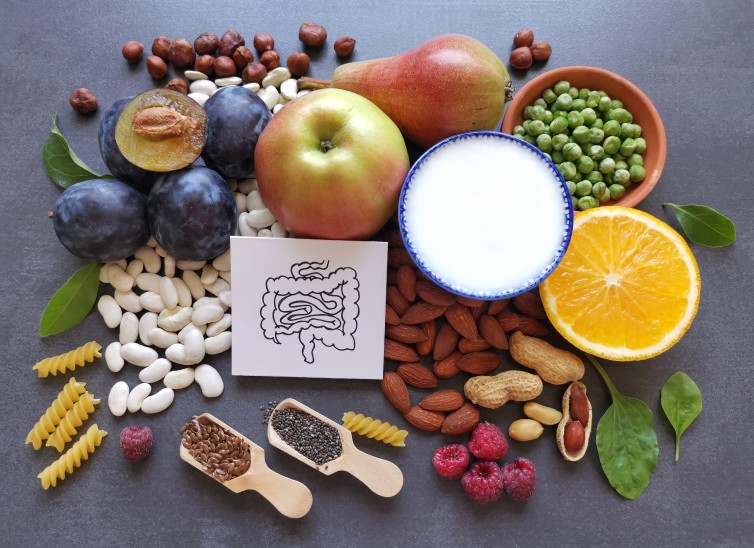 microbiota intestinal