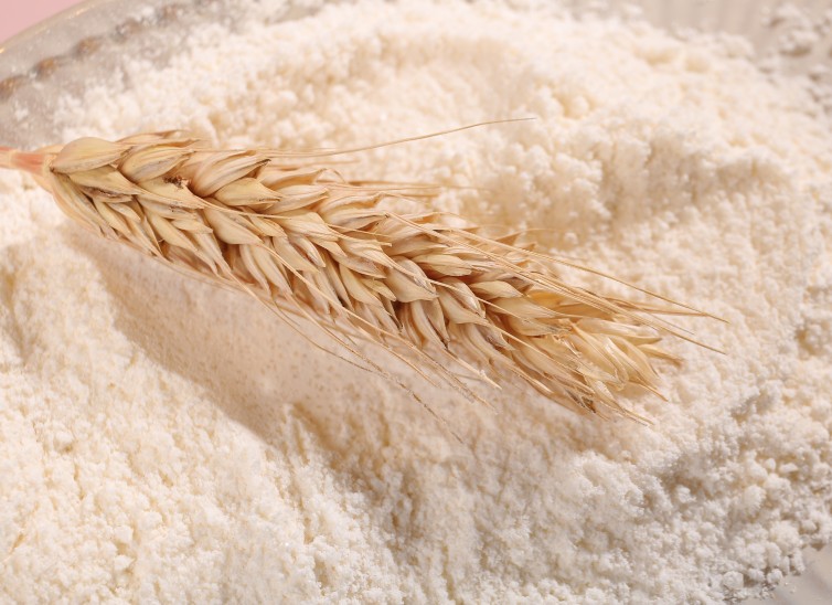 alimentos sin gluten