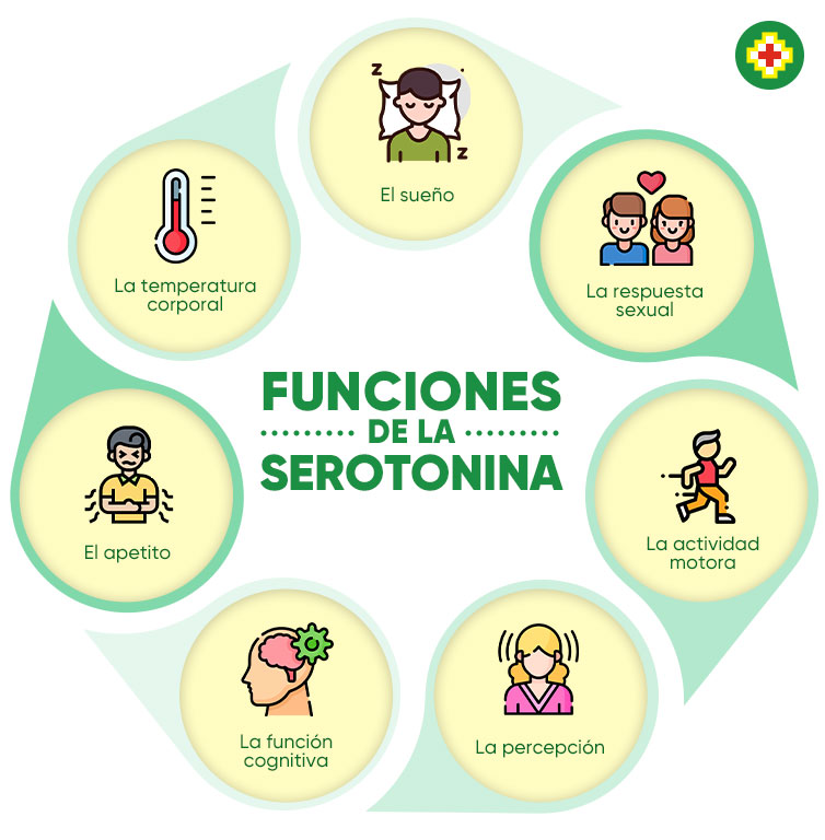serotonina blog