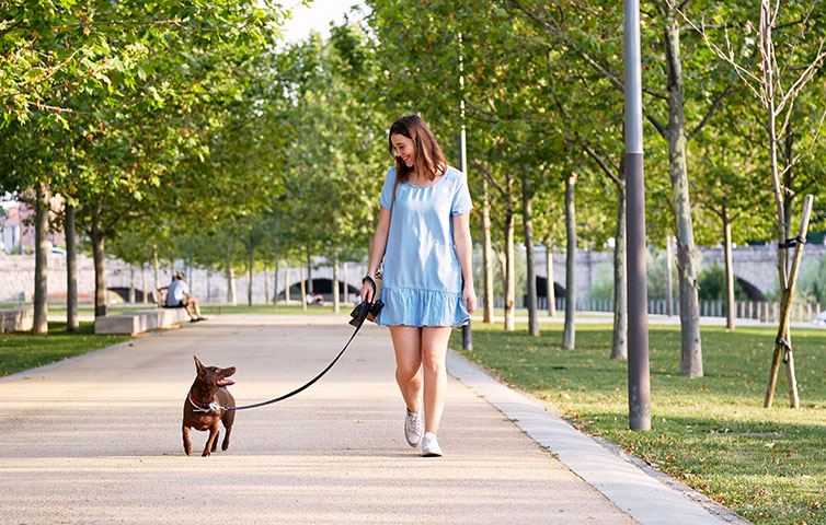 paseo con perros blog