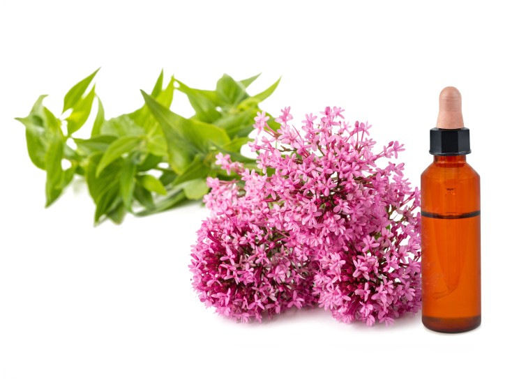 beneficios valeriana
