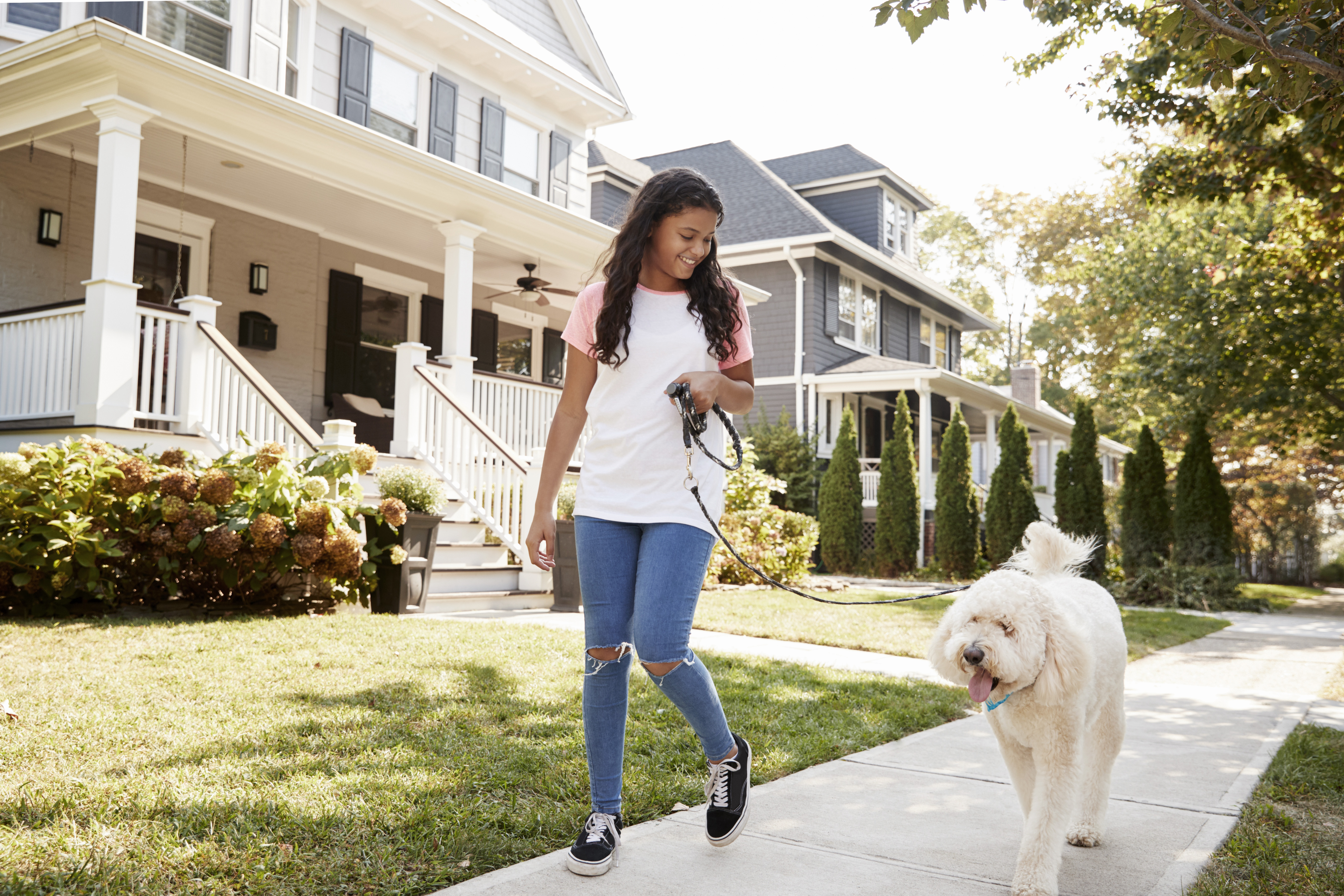 A girl walks a dog through a neighborhood