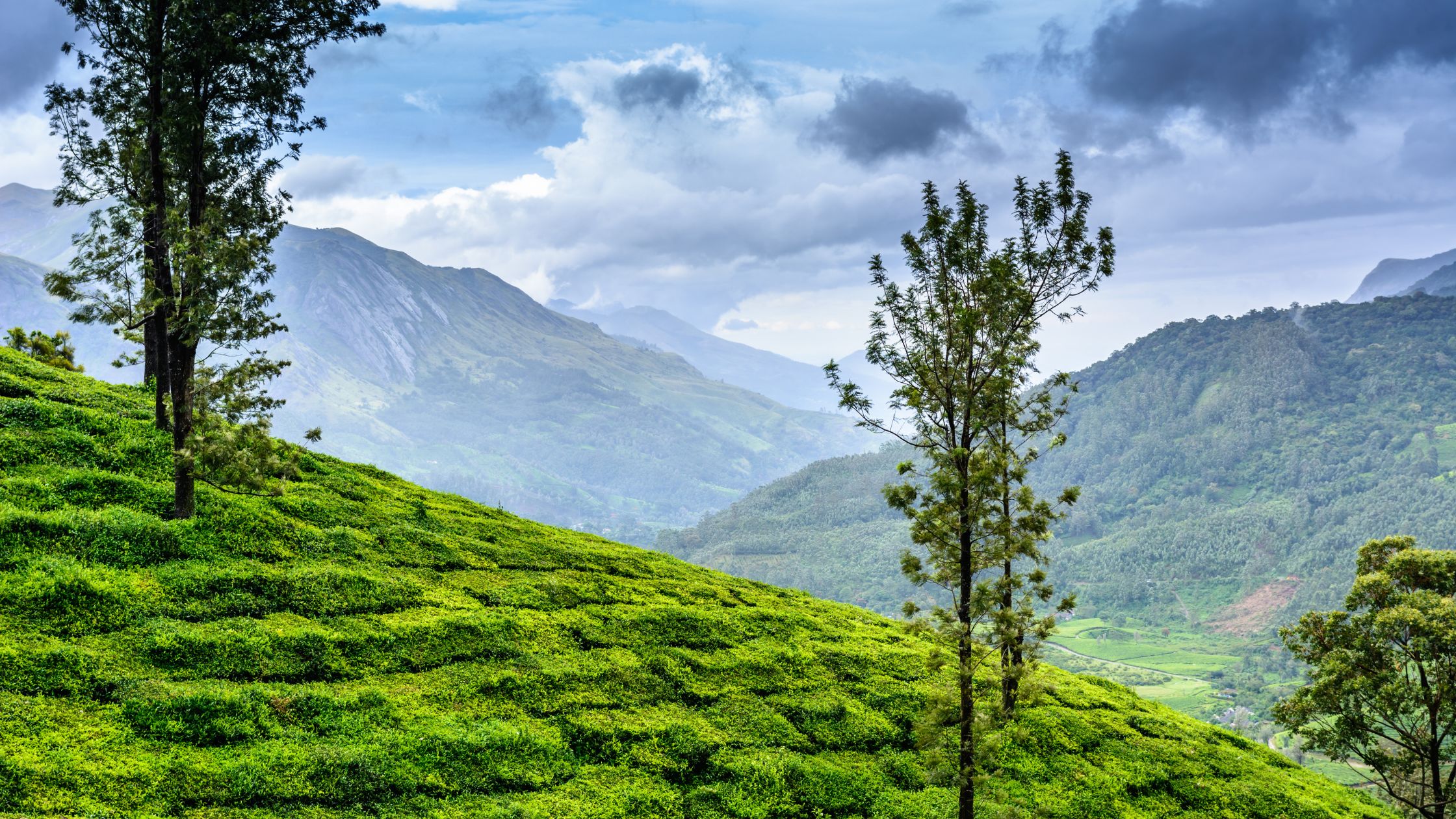 Coorg, Karnataka
