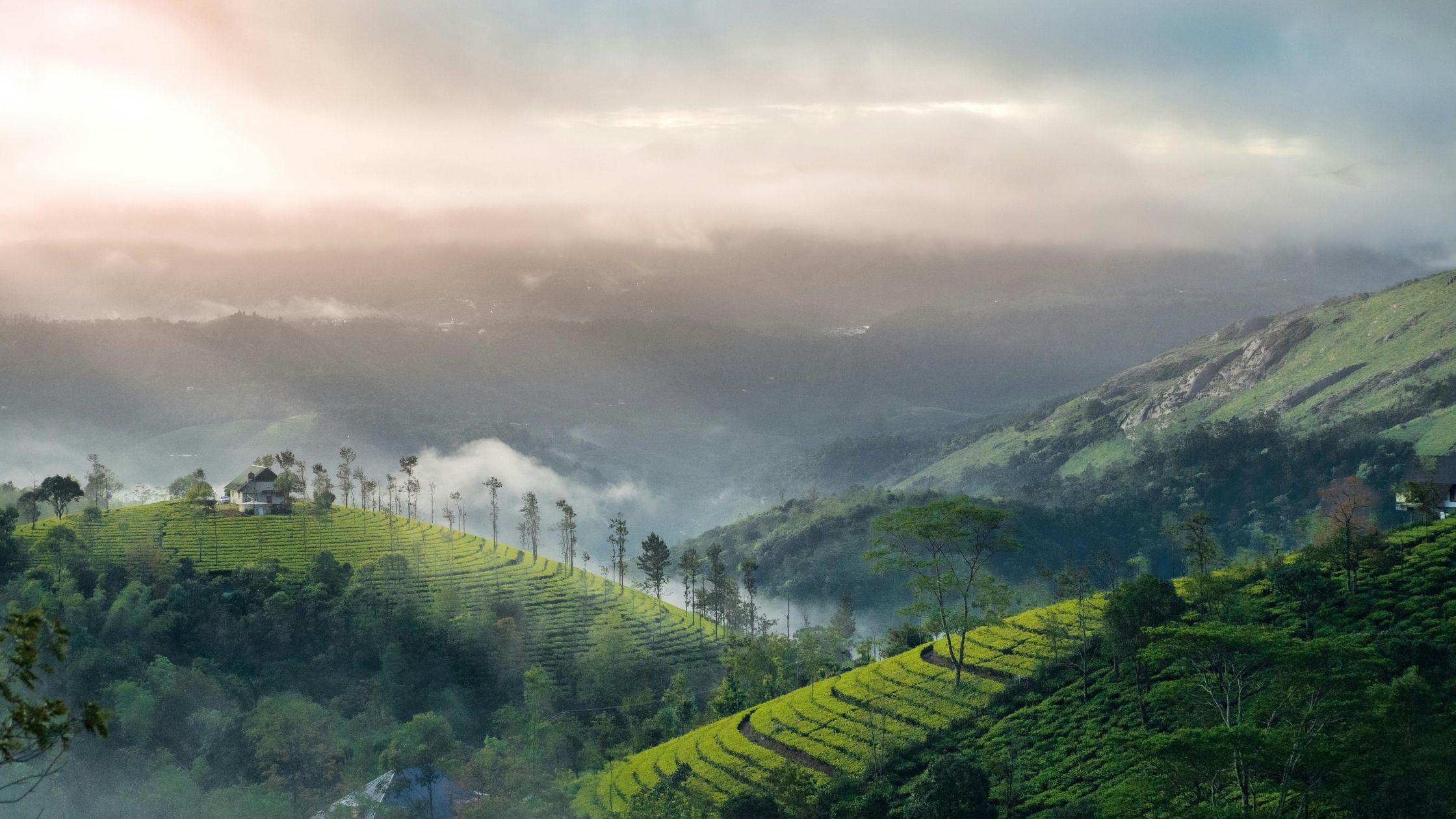 Munnar, Kerala