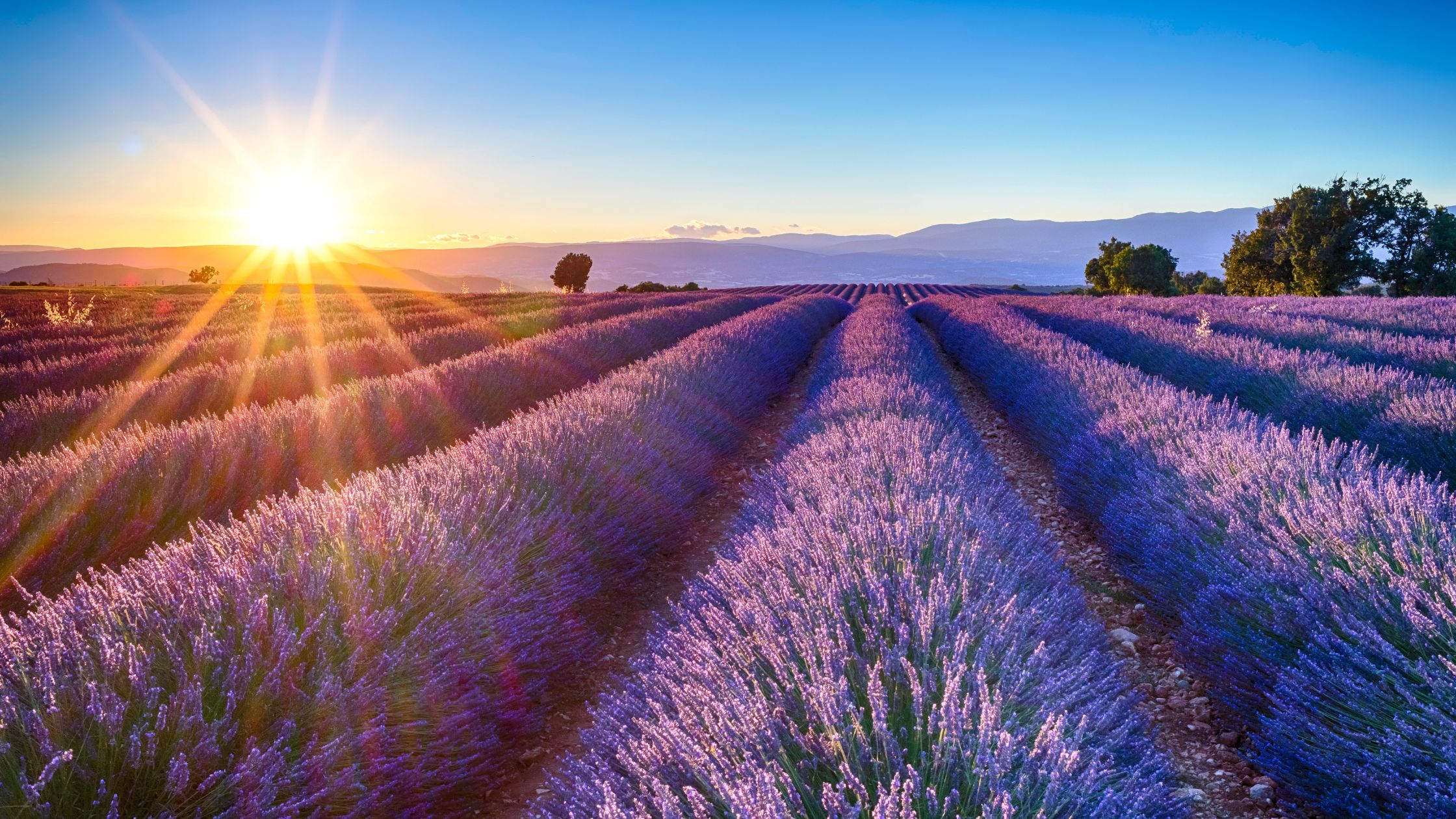 France