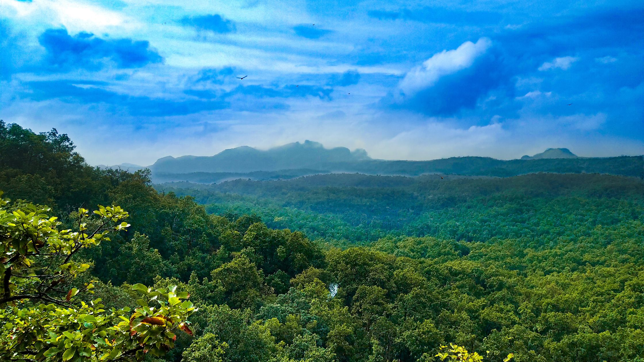 Pachmarhi