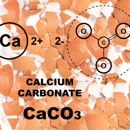 Calcium Carbonate and Antacid Support