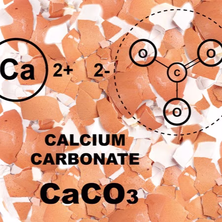 Calcium Carbonate and Antacid Support