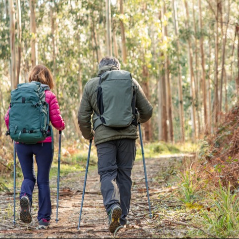 Active Aging Through Walking