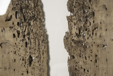 Dennis Lin Termite Wood Detail