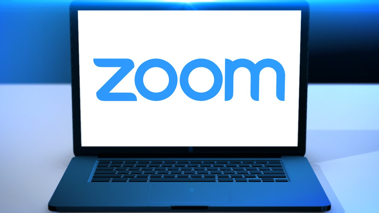ZoomVideos