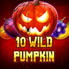 10 Wild Pumpkin