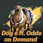 Dog 6 High Odds on Demand