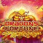 Wild Dragons Fortune