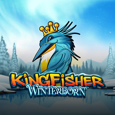 Kingfisher Winterborn