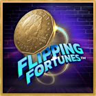 Flipping Fortunes