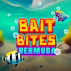 Bait Bites Bermuda