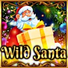 Wild Santa