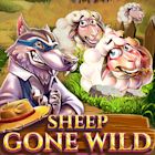 Sheep Gone Wild