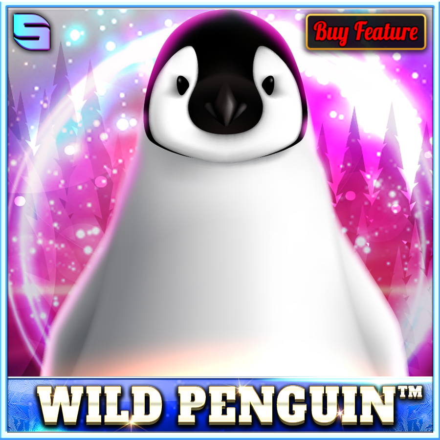 Wild Penguin