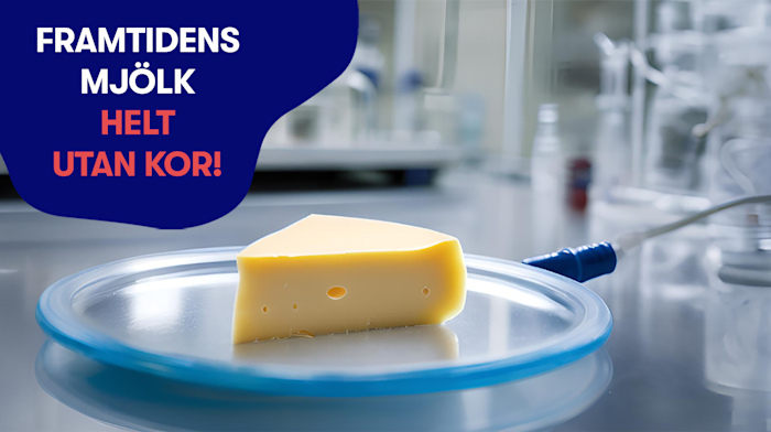 Kofri komjölk? Droppen som kan få bägaren att rinna över