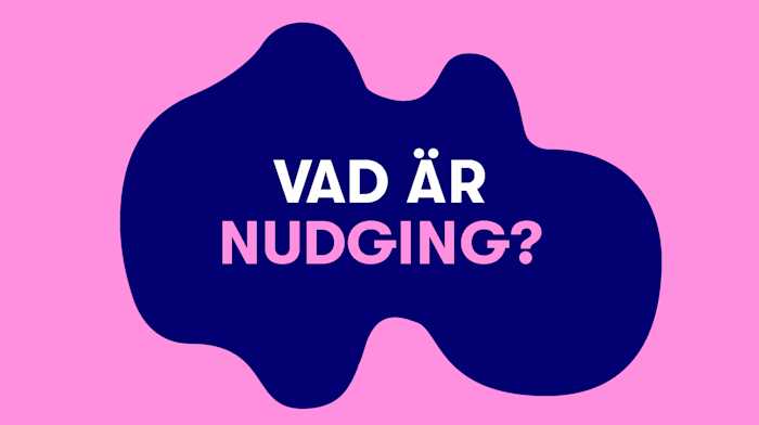 Vad är nudging?