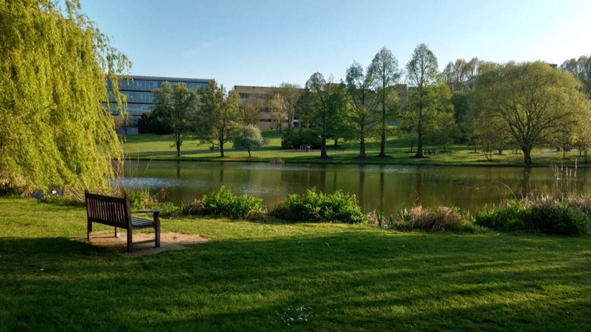 surreyFEATUREDIMAGE