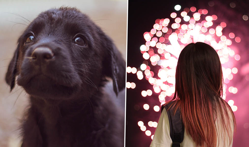 SilentFireworks1