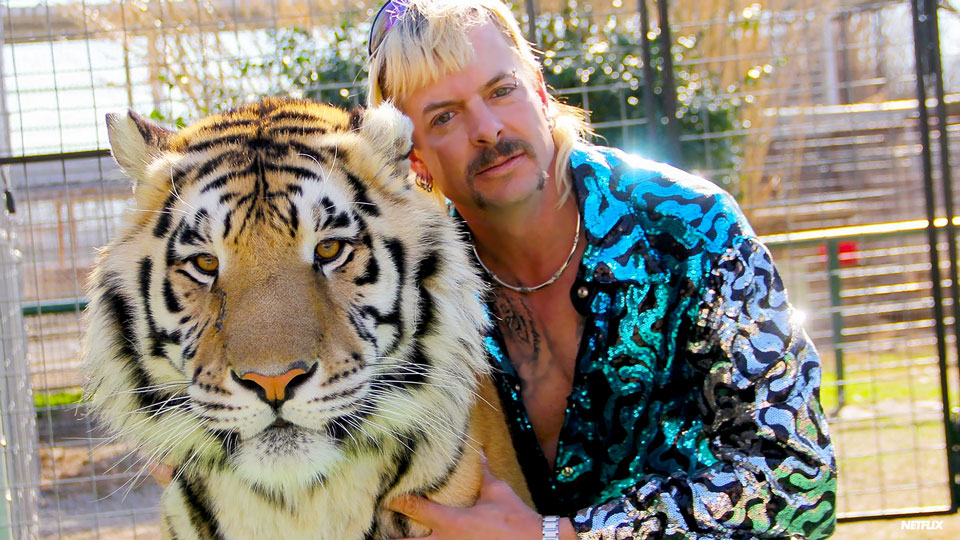 tigerkingFEATUREDIMAGE