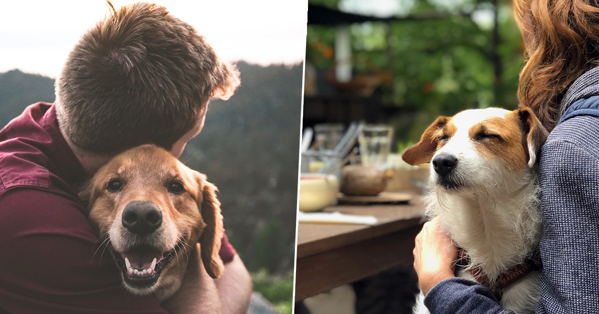 doggo2FacebookThumb